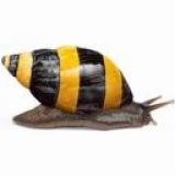 eperumyt