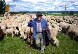 Пастырь - пастух